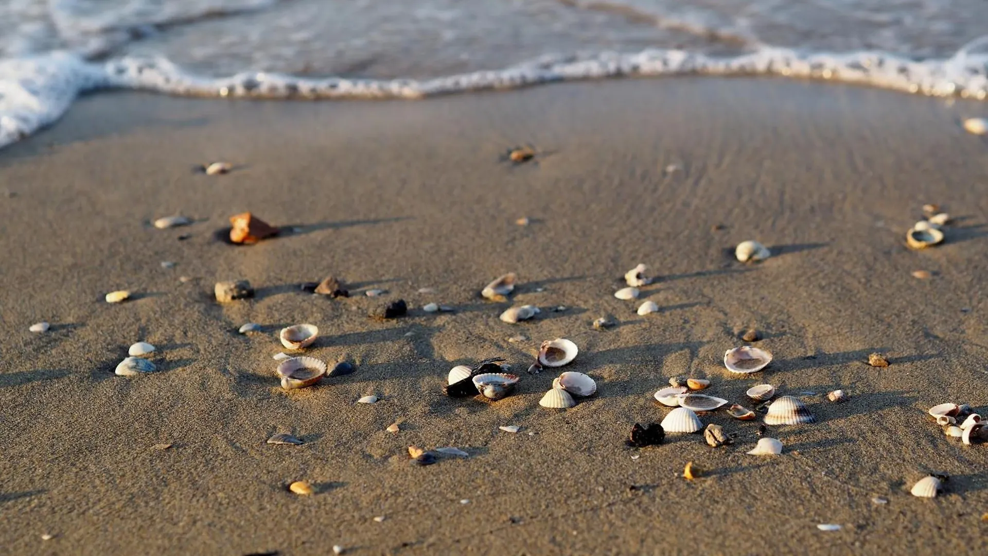 Extra Comfort In Bibione Spiaggia - Beahost